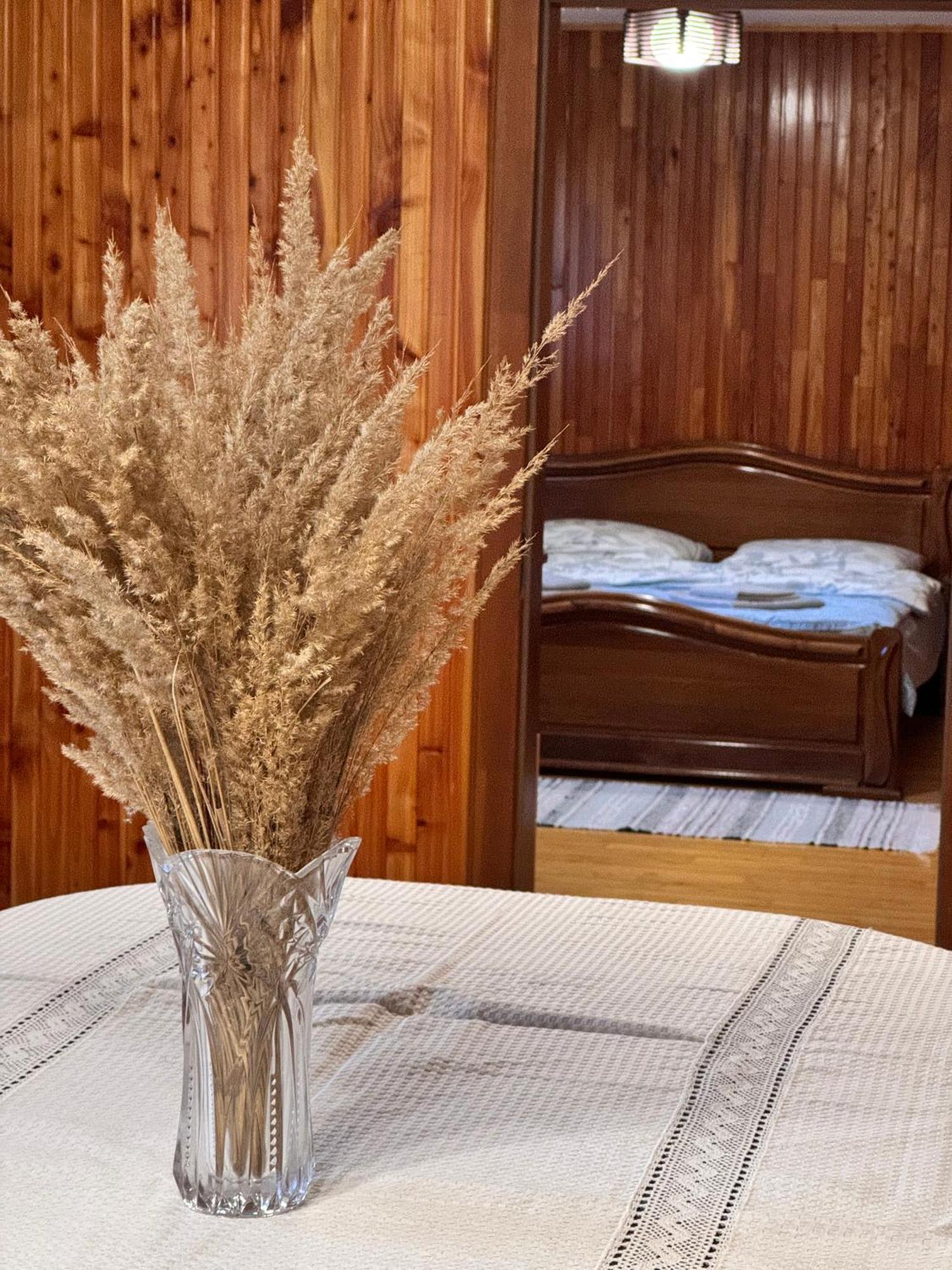 Apartment під боржавою Volovets
